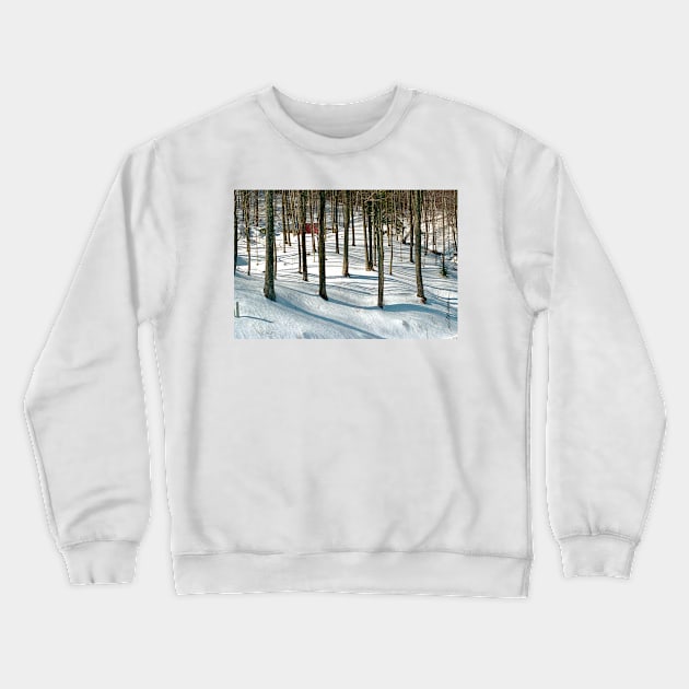 Into the Woods Crewneck Sweatshirt by srwdesign